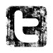 twitter photo