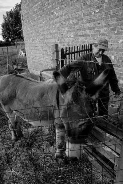 photo Fermier et son âne