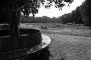 Bois de la Deûle