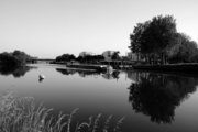 Péniche sur la Deûle